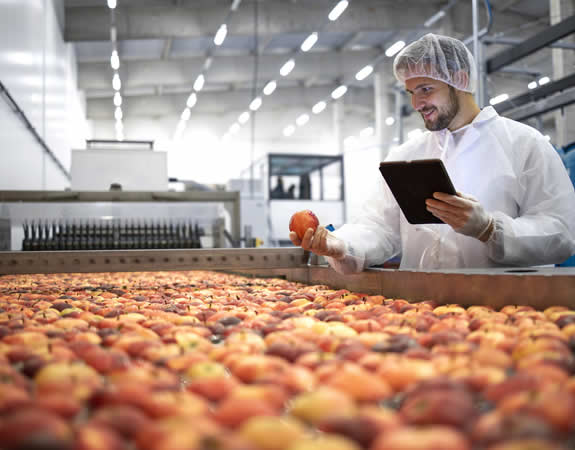 Mann prüft Apfel in der Presserei