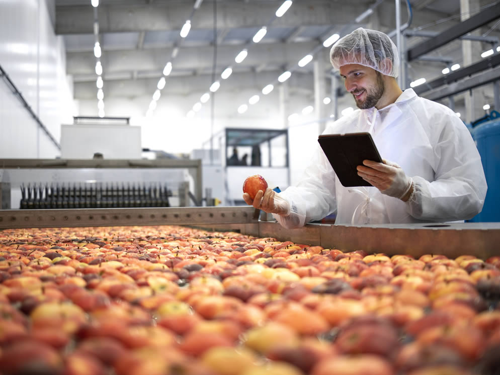 Junger Mann inspiziert Äpfel in der Produktion
