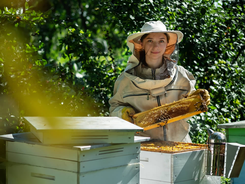 Junge Frau hält einen Bienenstockrahmen mit Honigwaben